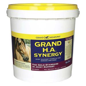Grand HA Synergy Grand Meadows